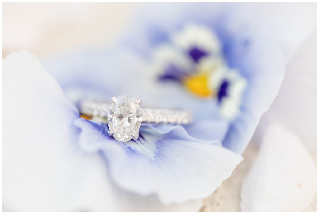 Birmingham, Alabama Wedding Photographers Katie & Alec | Anna Page & TJ's Engagement Session Birmingham Botanical Gardens
