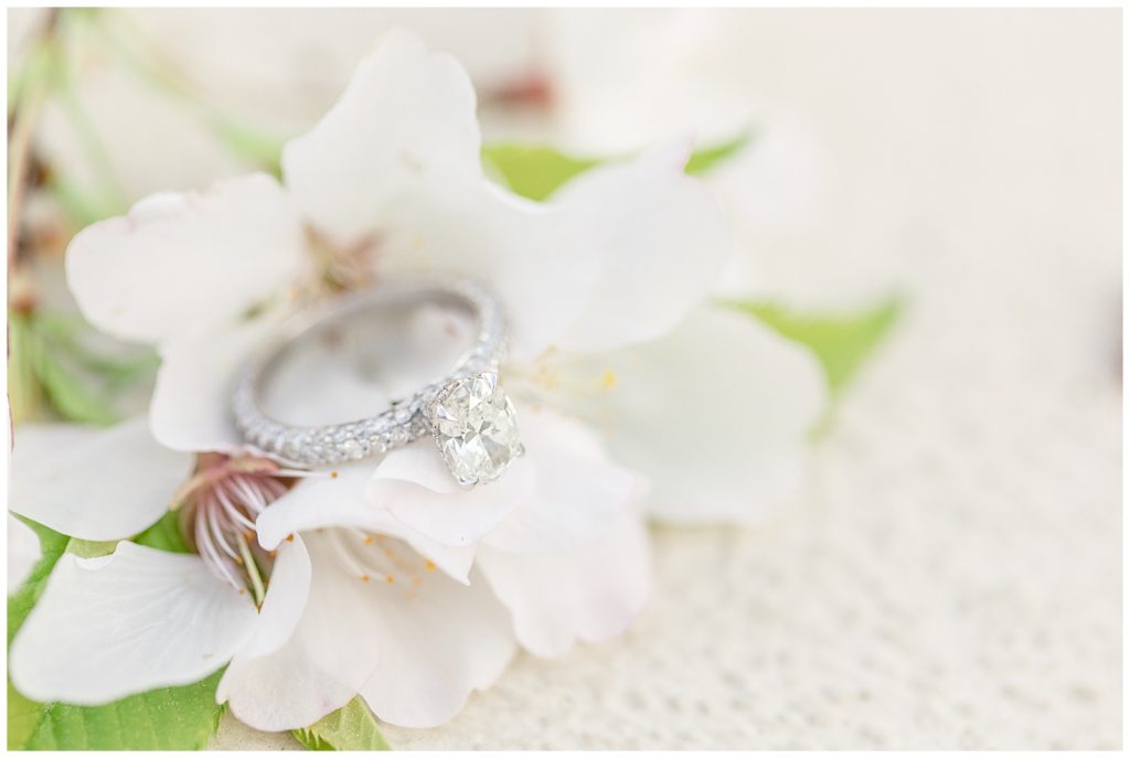 Birmingham, Alabama Wedding Photographers Katie & Alec | Anna Page & TJ's Engagement Session Birmingham Botanical Gardens