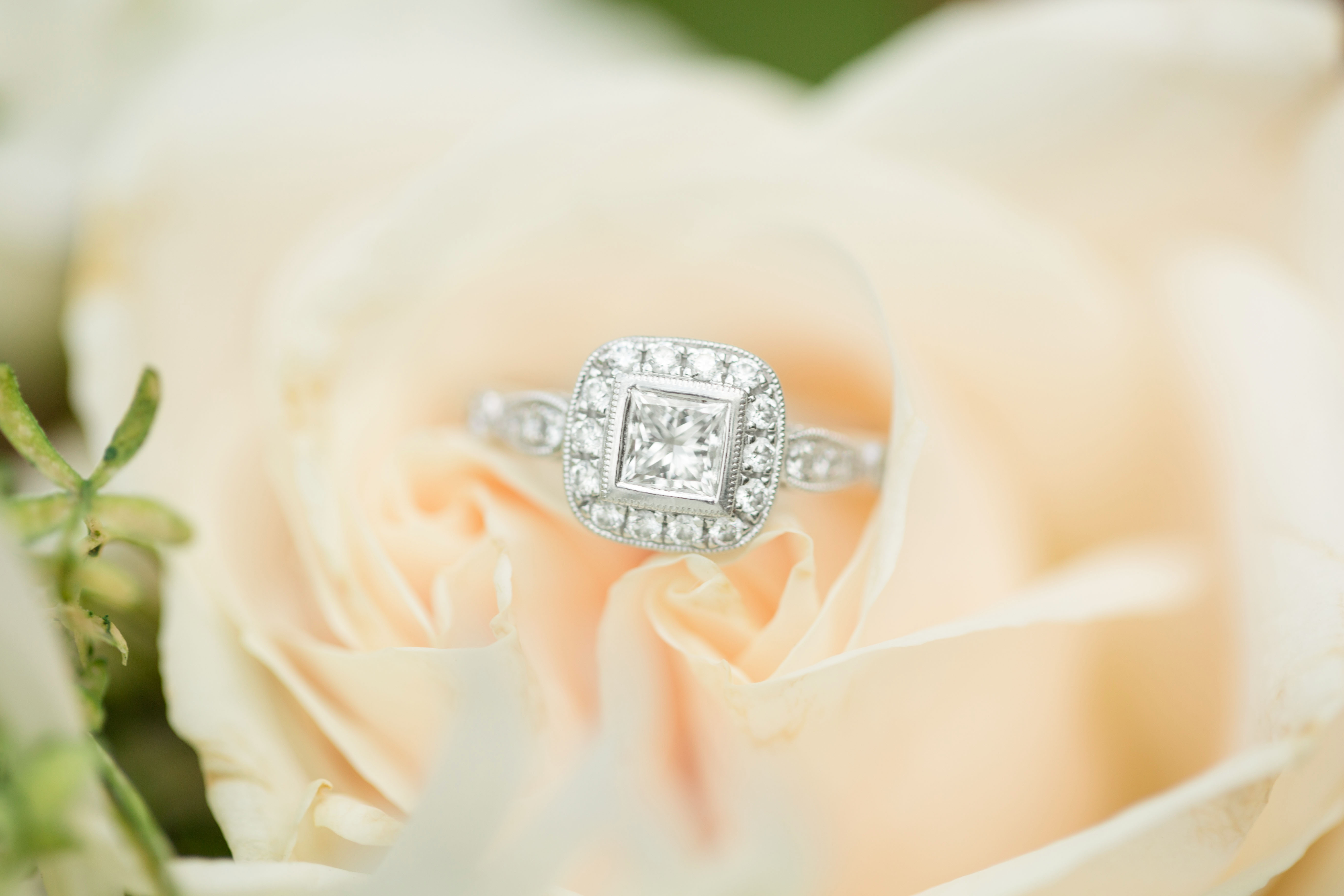 10-Incredible-Engagement-Rings-Katie-And-Alec-Photography-Birmingham-Alabama-Wedding-Photographers 28