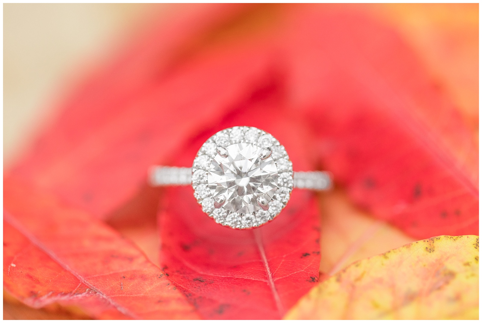 Wedding Photographers in Birmingham, Alabama Katie & Alec Photography | round cut white gold engagement ring