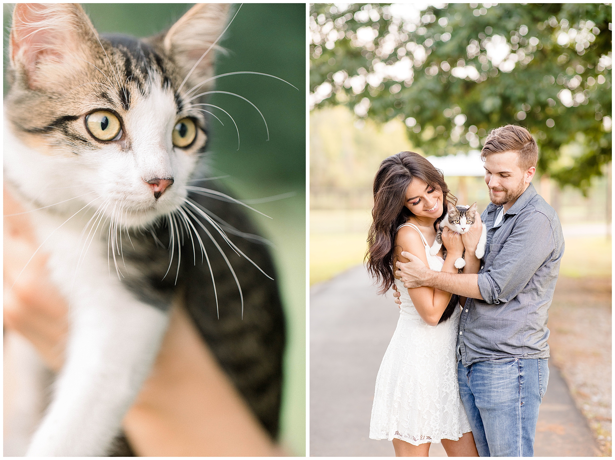 Birmingham, Alabama Wedding Photographers - Katie & Alec | Megan & Michael's Anniversary Session with Kitten